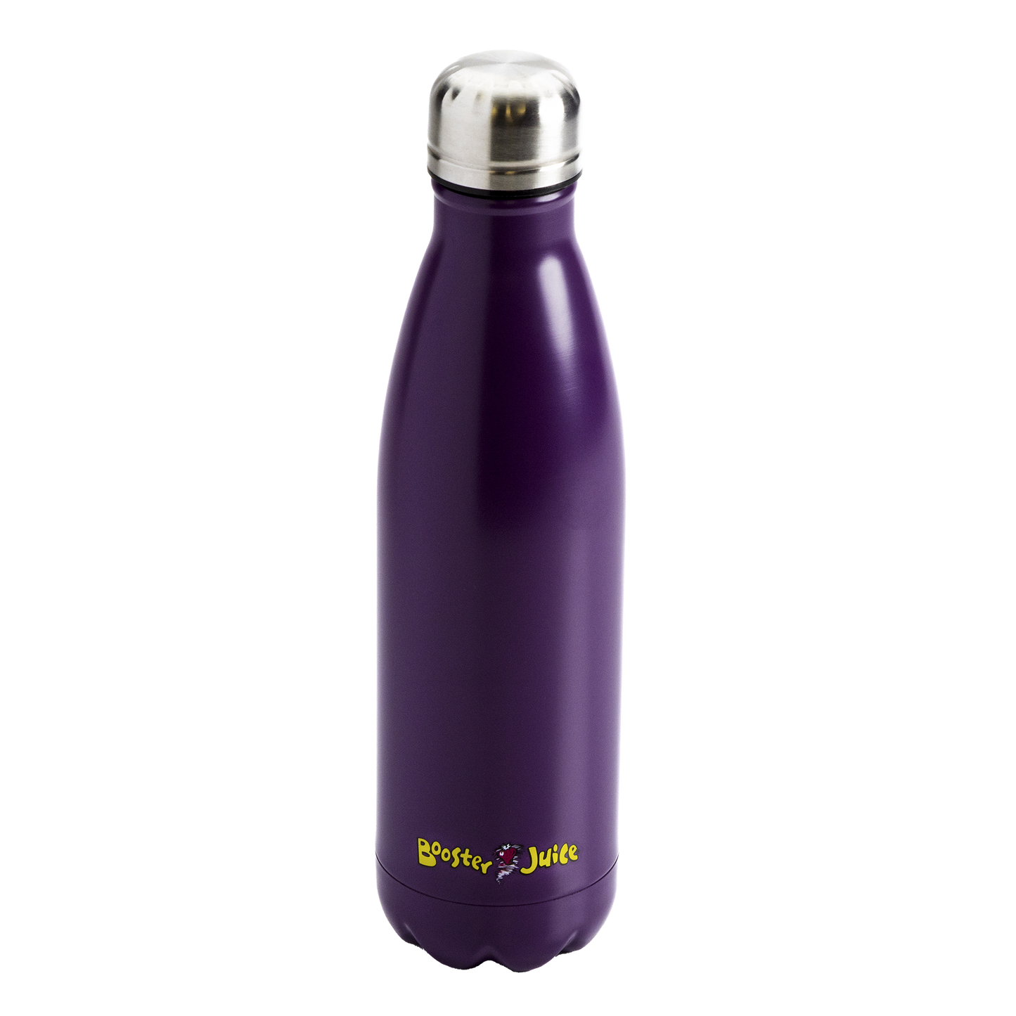 Purple Steel Water Bottle