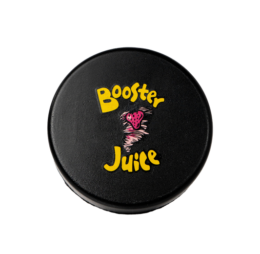 Hockey Puck Stress Toy